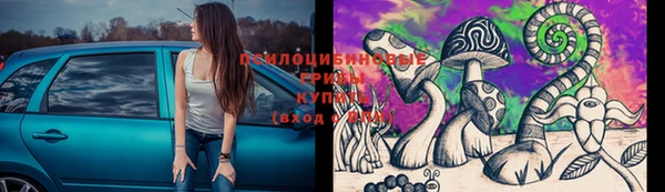молекула духа Навашино